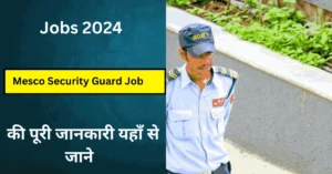 Mesco Security Guard Job