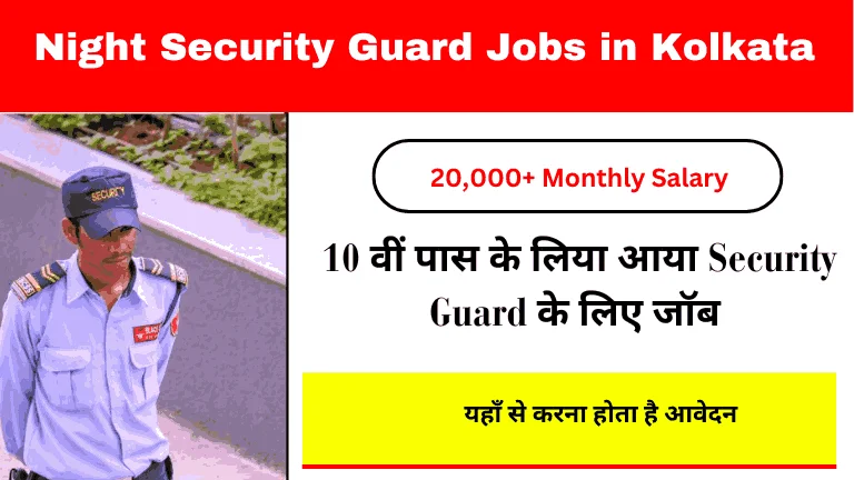 Mesco Security Guard Job