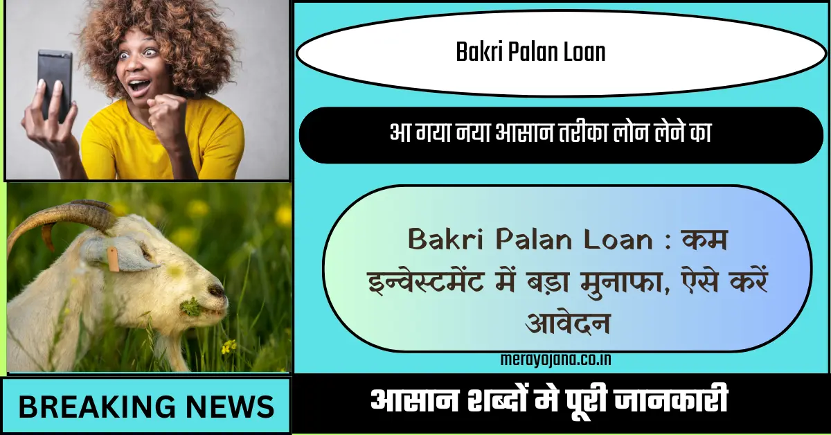 Bakri Palan Loan