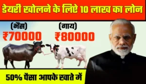 Dairy Farming Loan Apply Online